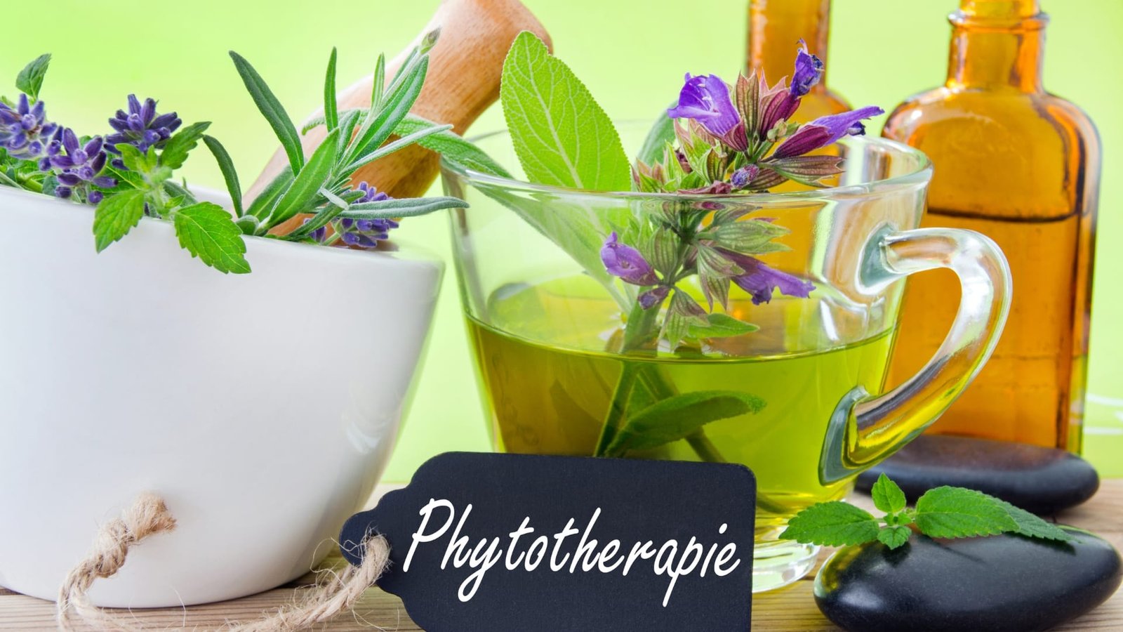 Phytothérapie pour maigrir